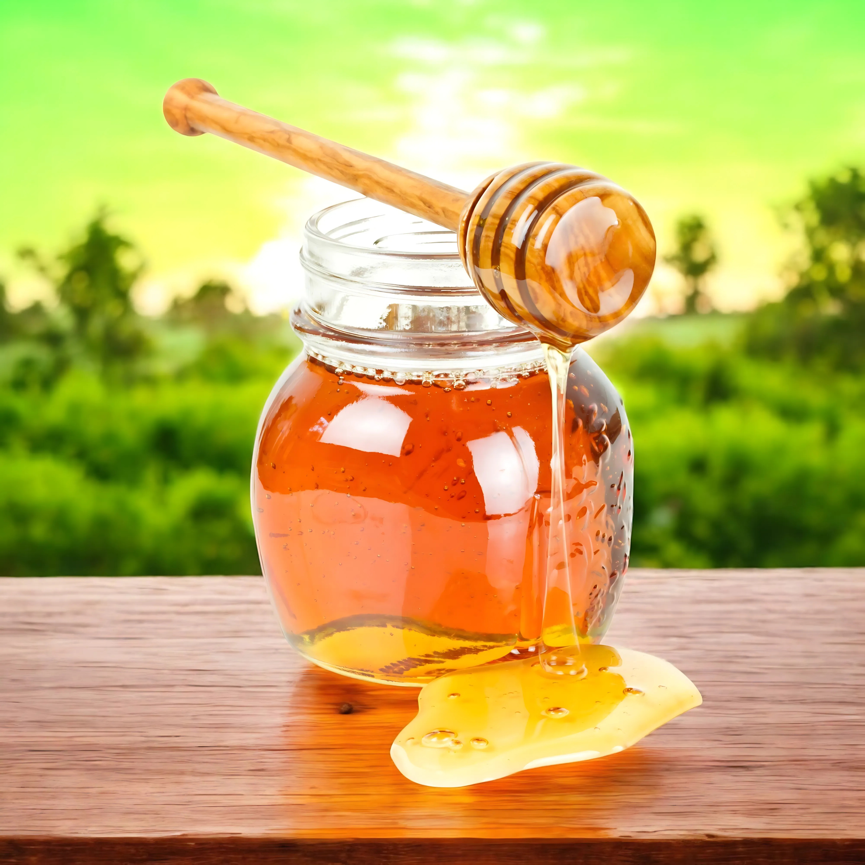 HONEY (মধু)